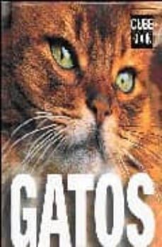 gatos (cube book)-caterina gromis-9788496445147