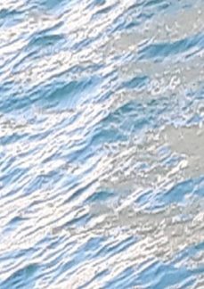 temas prioritarios do curriculo de ciencias em tempos de pandemia (ebook)-elizabeth christina rodrigues bittencourt-3410004076357