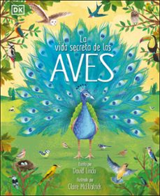 la vida secreta de las aves-david lindo-9780241583357
