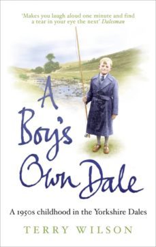 a boy's own dale (ebook)-terry wilson-9781409034957