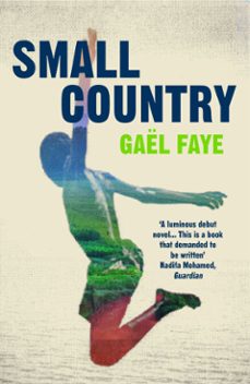 small country (ebook)-gael faye-9781473547957