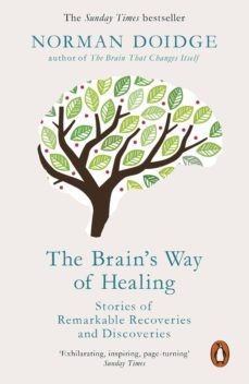 the brain's way of healing (ebook)-norman doidge-9781846144257