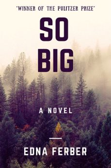 so big (a novel) (ebook)-edna ferber-edna ferber-9786257959957
