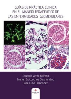 guias de practica clinica en el manejo terapeutico de las enfermedades glomerulares (ebook)-eduardo verde moreno-marian goicoechea diezhandino-jose luño fernandez-9788413179957