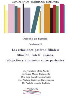 cuadernos teoricos bolonia. derecho de familia. cuaderno iii-ainhoa gutierrez barrenengoa-9788415454557