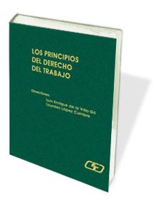 los principios del derecho del trabajo-9788445411957