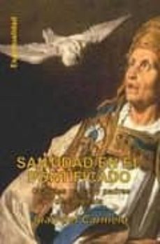 santidad en el pontificado : los mas grandes papas santificados a lo largo de la historia-juan del carmelo-9788461266357