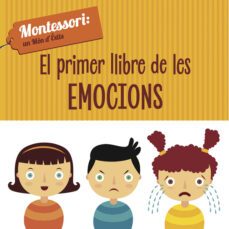 el primer llibre de les emocions (vvkids)-chiara piroddi-9788468223957