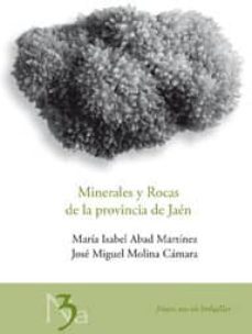 -maria isabel abad martinez-jose miguel molina camara-9788484397557