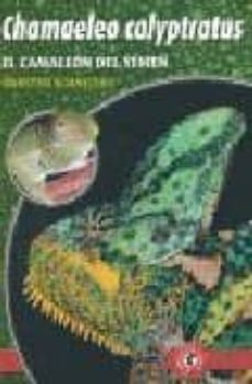 chamaeleo calyptratus: el camaleon del yemen-carsten schneider-9788493418557