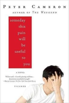 someday this pain will be useful to you-9780312428167