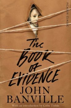 the book of evidence-9781447275367