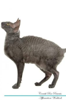 cornish rex affirmations workbook cornish rex presents-9781526968067