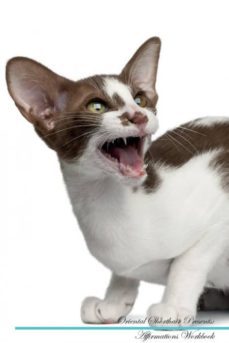 oriental shorthair affirmations workbook oriental shorthair presents-9781526972767