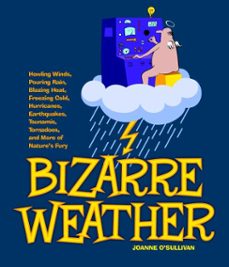 bizarre weather (ebook)-joanne o'sullivan-9781607345367