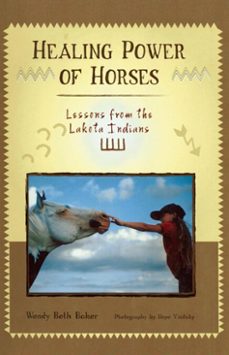 healing power of horses (ebook)-wendy beth baker-9781937049867