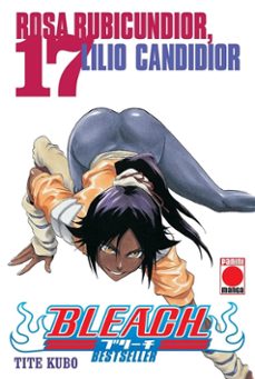 bleach bestseller 17-tite kubo-9788410510067