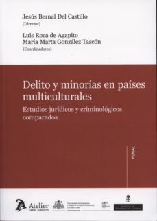 delito y minorias en paises multiculturales: estudios juridicos y criminologicos comparados-jesus bernal del castillo-9788415690467