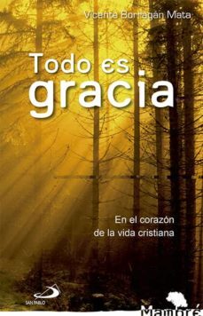 todo es gracia-vicente borragan mata-9788428540667