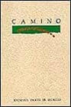 camino (bolsillo rustica)-9788432131967