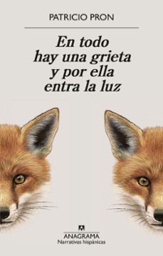 en todo hay una grieta y por ella entra la luz (ebook)-patricio pron-9788433949967