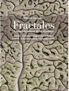 fractales: anatomia intima de la marisma-9788472072367