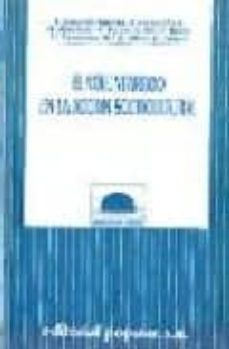 el voluntariado en la accion sociocultural-9788478840267