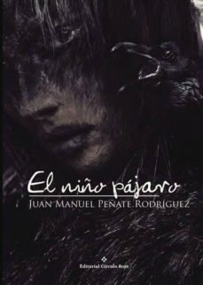 el niño pájaro (ebook)-juan manuel peñate rodriguez-9788491753667