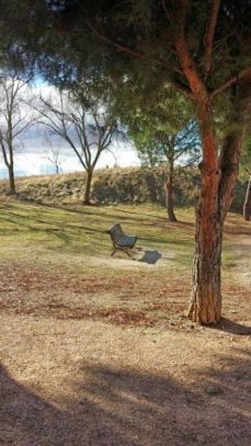 sinfonias y voces-rosa maria estremera-9788494223167