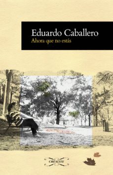 ahora que no estas (ebook)-9788494308567