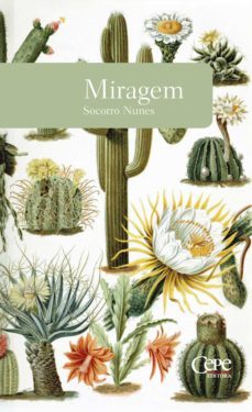 miragem (ebook)-socorro nunes-9788578583767