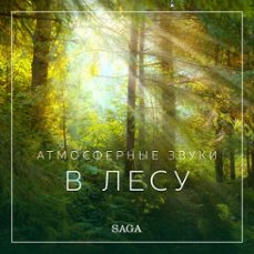 атмосферные звуки – в лесу-расмус бро-9788726266467
