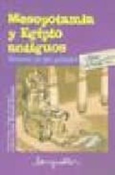 mesopotamia y egipto antiguos: historia de dos grandes-9789875507067