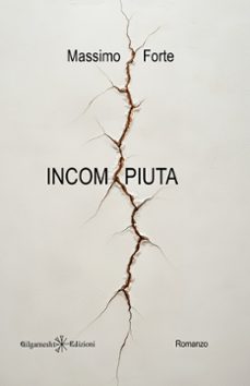 incompiuta (ebook)-9791224452867