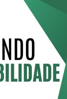 resumindo a contabilidade (ebook)-rafaela caran-9798312315967