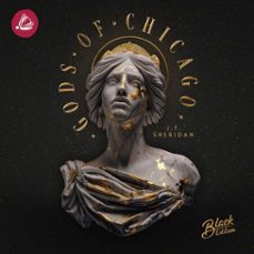 gods of chicago (audiolibro)-j. t. sheridan-4069828987777