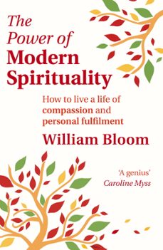 the power of modern spirituality (ebook)-william bloom-9780748119677