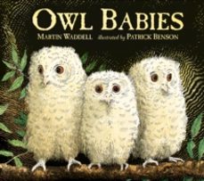 owl babies-9781406374377