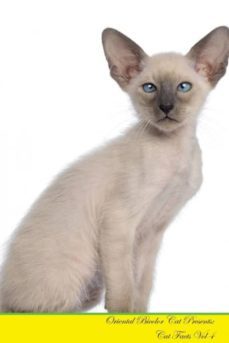 oriental bicolor cat presents-9781526964977