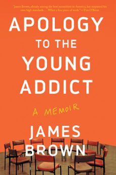 apology to the young addict (ebook)-james brown-9781640092877