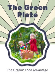 the green plate (ebook)-ethan o. brighton-9781776837977