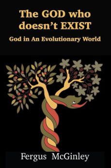 the god who doesn't exist (ebook)-fergus mcginley-9781923206977