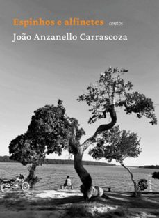 espinhos e alfinetes (ebook)-joão anzanello carrascoza-9786588410677
