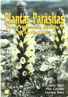 los biocombustibles-manuel camps michelena-felix hernandez alvarez-9788484760177