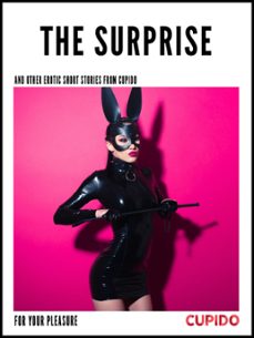 the surprise - and other erotic short stories (ebook)-9788726545777