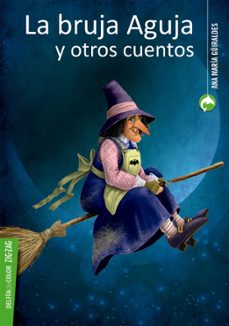 la bruja aguja y otros cuentos (ebook)-ana maría güiraldes-andrés jullian-9789561222977
