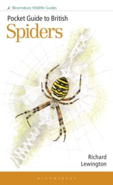 pocket guide to british spiders-richard lewington-9781399406987