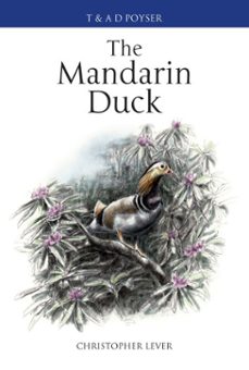 Imagen Principal de The Mandarin Duck
