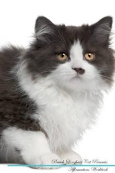 british longhair cat affirmations workbook british longhair cat presents-9781526967787