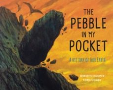 the pebble in my pocket-meredith hooper-9781847807687